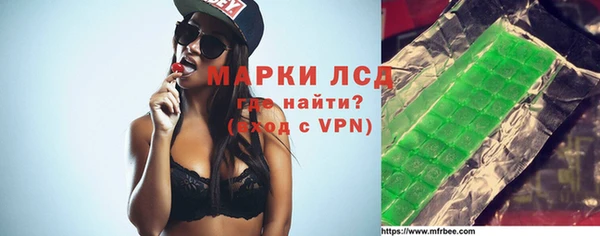 стафф Арсеньев
