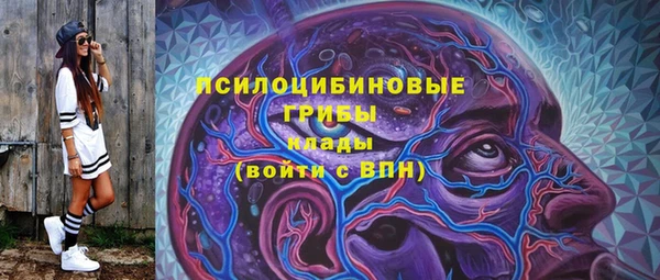 apvp Аркадак