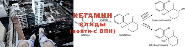 стафф Арсеньев