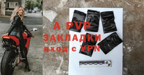 стафф Арсеньев