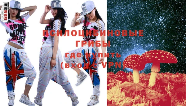 apvp Аркадак