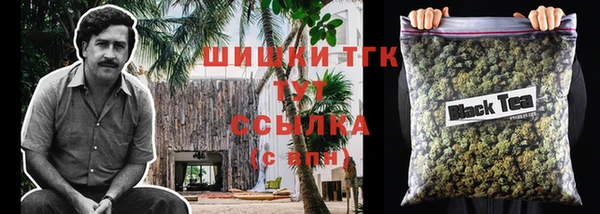 стаф Пролетарск