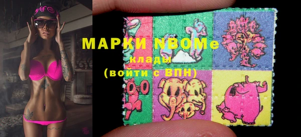 стафф Арсеньев